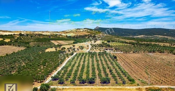 Kocamehmetlerde Satılık 2 Parsel Tarla