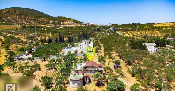 Foça Yeniköyde Satılık Tarla