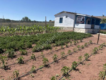 Kr Unıtyden Kızılinlerde 450 Metrekare Satılık Tarla