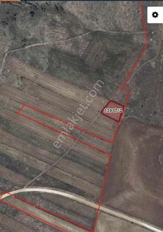 Odunpazarı Doğankaya Mahallesinde Satılık Tarla