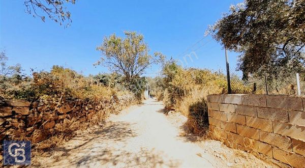 Akkaya Yaylası Yol Cepheli Köşe Konumlu Satılık Tarla