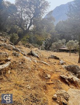 Coldwell Banker Burak Efe Den Marmaris Bayır Da Tarla