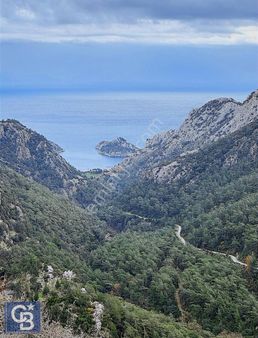 Coldwell Banker Burak Efe Den Marmaris Bayır Da Tarla