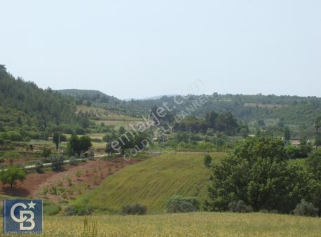 Muğla Menteşe Yenibağkayada 2.929 M2 Vadi Manzaralı Satılı Tarla