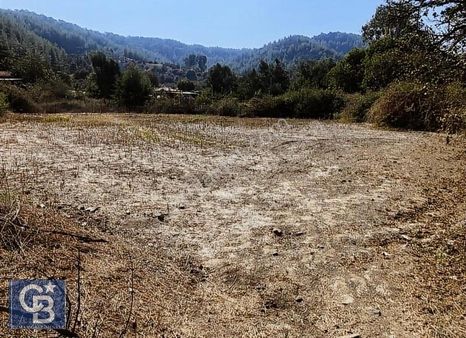 Ula Portakallık Ta Köy İçi İmarlı Arazi