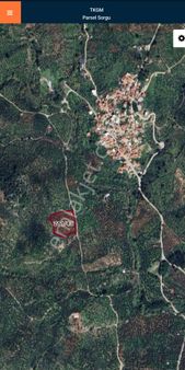 Golden Globy, Edremit Dereli'de​ Satılık 8,7 Dönüm Zeytinlik