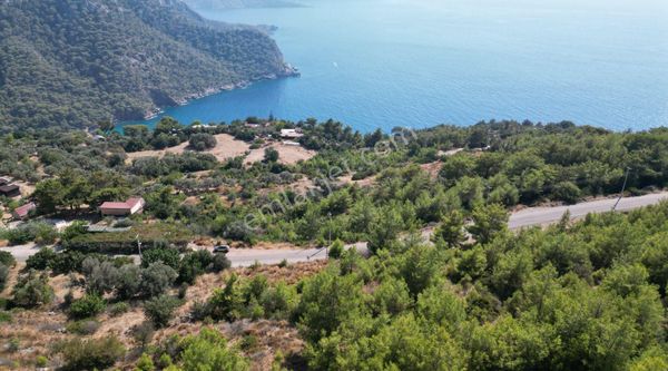 Goldhouse Dan Satılık Kabak Koyunda Tarla