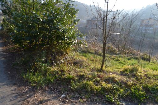 Beykoz Elmalıda Caddeye Paralel /2 /katlı1.5m2 Ön Cepheli Kiralık Dükkan