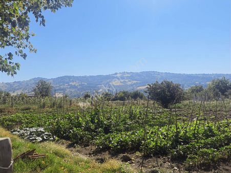 Gündüzlü'de İmarlı Arsa 2 Tane Yanyana 2.5 Kat 250m2 İmar Mevcut