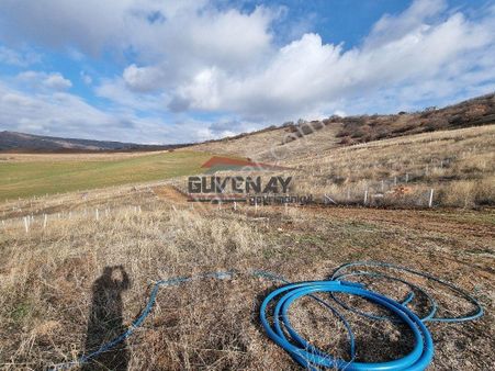 Acil Satılık Güvenay Çorum Merkez Serpin Köyü İlerisi Satılık Hobi Bahçesi