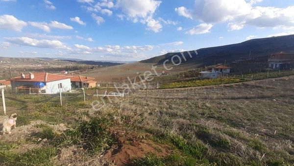 Güvenay - Çorum Yeni Osmancık Yolu Yanı Satılık Bahçe