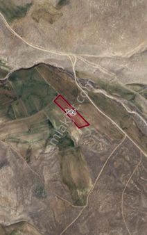 Niğde Bor Havuzluda Yatırımlık Tek Tapu 7200 M2 Satılık Tarla