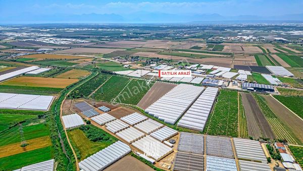 Antalya Expo 2016 Karşısı, 68 Dönüm Satılık Tarla