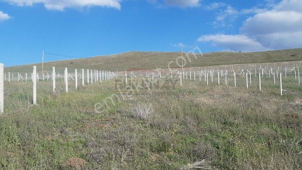 Güvenay - Çorum Eski Osmancık Yolu Üzeri Sarmaşa Mevkii Satılık Hobi Bahçe