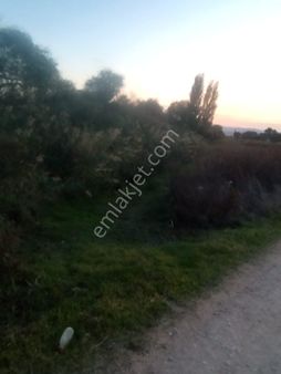 Dede Emlak'tan Satılık Yağcılarda Fırsat Tarla I