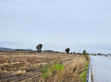 Biga ︎göktepe Köyün'de { Satılık Tarlamız}