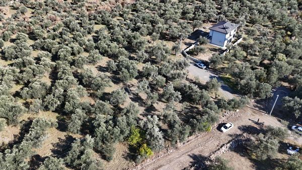 Parstan Zeytinlide 410 Metrekare %30 İmarlı Satılık Arsa