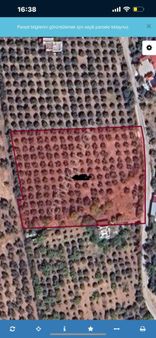 İzmir Torbalı Dağkızılca Köyü’nde Satılık Arsa