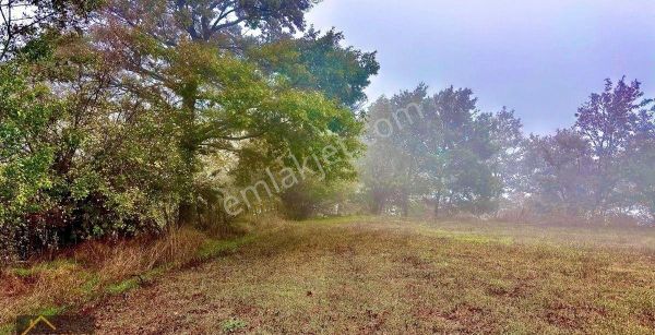 🏡 Yıldız Gayrimenkul'den Sebepli Mahallesi'nde Satılık 6.624 M² Köyiçi Tarla