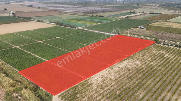 Tc Emlaktan Satılık Asfalt Üzeri Tarla Merkeze 4 Km
