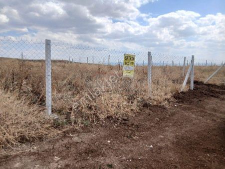 Güvenay - Çorum Osmancık Yolu Sarmaşa Mevki Taksitli Satılık Hobi Bahçesi