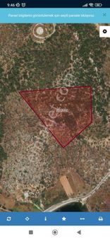 Muğla Milas Kıyıkışlacık Mevkii Satılık 230 M2 Zeytinlik