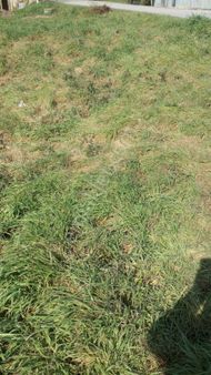 B:çekmece Tepecikde 17000m Satılık Düşeş Kazandıracak Arsa No:404