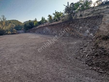 🌿 Satılık Bahçe – Tek Tapu