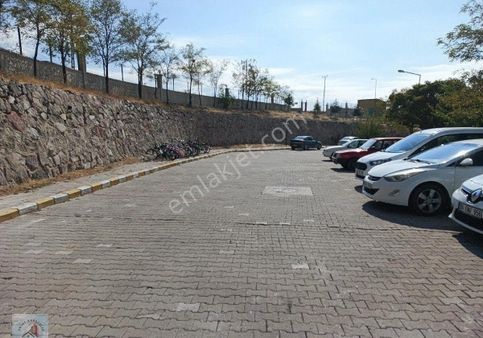 Polat Kardesler Emlak Mevlüt Polat