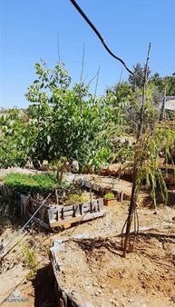 Binevler Turyaptan Budaklı'da Satılık Bağ