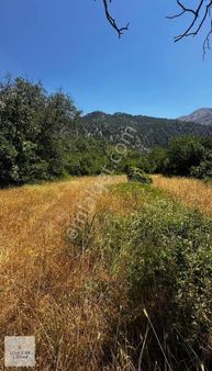 Antalyada Ufak Bütçeli Yatırım Fırsatı Aldın Aldın !!