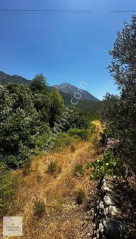 Ufak Mt Ufak Fiyat Süper Yatırım Tapum Olsun Diyenlere Özel !!