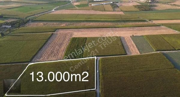 Ergilde 13.000 M² Köşe Parsel Tarım Ve Yatırıma Uygun Fırsat