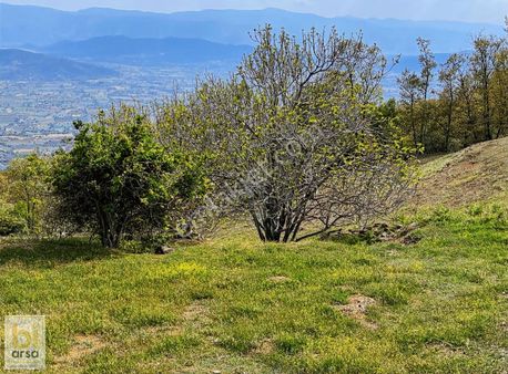 İzmir Kiraz Başaran'da 3.378 M² İmarlı Son Yapı Bulunan Arsamız!