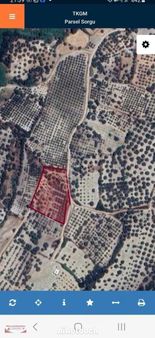 Saruhanlı Gözlet Mah. 5850m2 Acil Satılık Zeytinlik