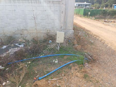 İzmir Menderes Ataköyde Güzel Konumda 400m2 Hisse Tapulu Elektrik-su Var