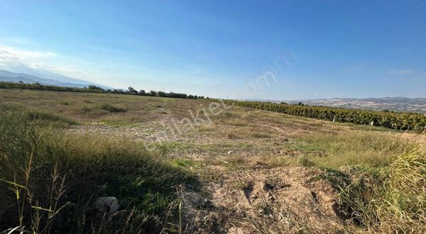 Buğra Gayrimenkulden Satılık Tarla