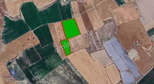 Yukarıtandırda Elektrik Ve Suyu Hazır 16.900 M² Tarla