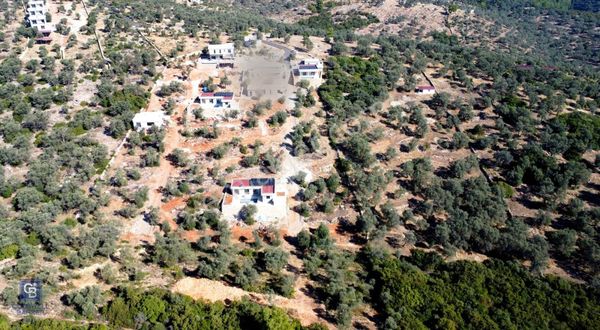 Bodrum Çilek Köyü Satılık Fırsat Kooperatif Hissesi