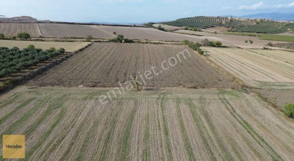 Mayadan Gyo Danışment Köyünde Satılık Tarla!
