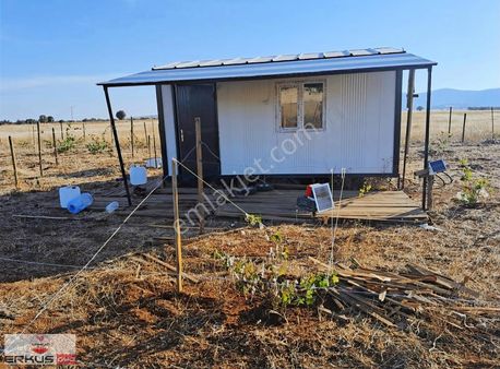 Denizli Bekilli Yeşiloba Köyü Bakımlı Bağ (çevrili Konteynerli)