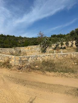 Dirmil Köyünde Tek Tapu 1600m2