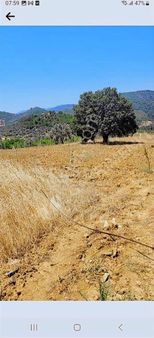 Bayındır Alanköy Yaylasında Satılık Tarla