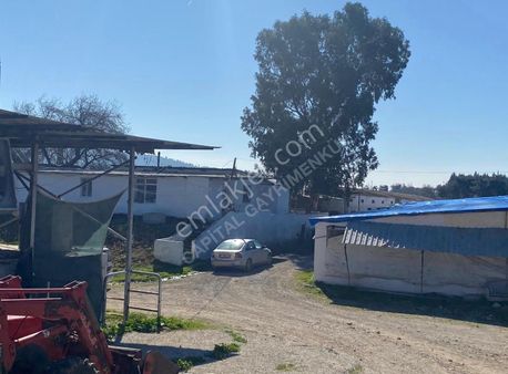 Capital Emlak'tan Çakırbeyli Mahallesinde Satılık Çiftlik