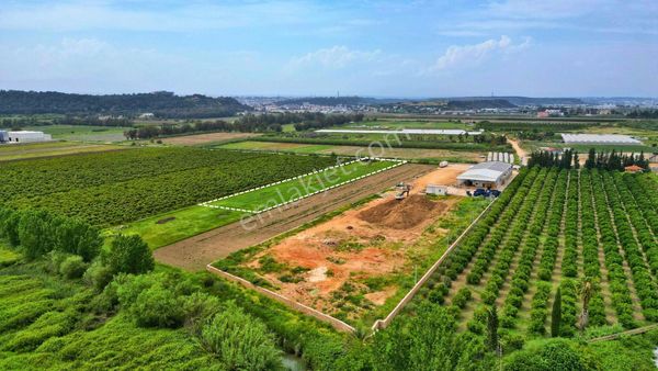 Aksu'da Depo Yapımına Uygun 10 Dönüm Satılık Arazi