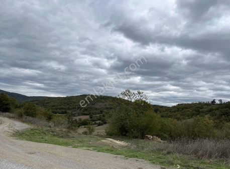 Ata Yoluna Cephe Fırsat Tarla