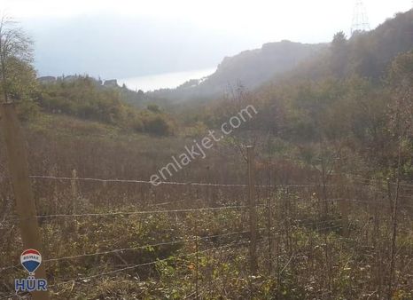 Serdivan Esentepe'de İmara Yakın Göl Manzaralı Fırsat Tarla