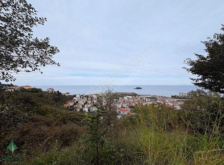 Delta Gayrimenkul'den Giresun Aksu Mahallesi'nde Satılık Arsa!!!