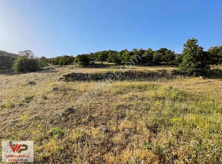 Balıkesir Biğadiç Durasılarda Baraj Manzaralı Satılık Tarla