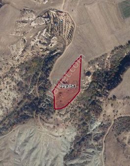 Güvenay - Çorum Ted İlerisi Büğet Yolu 7 Dönüm Satılık Tarla